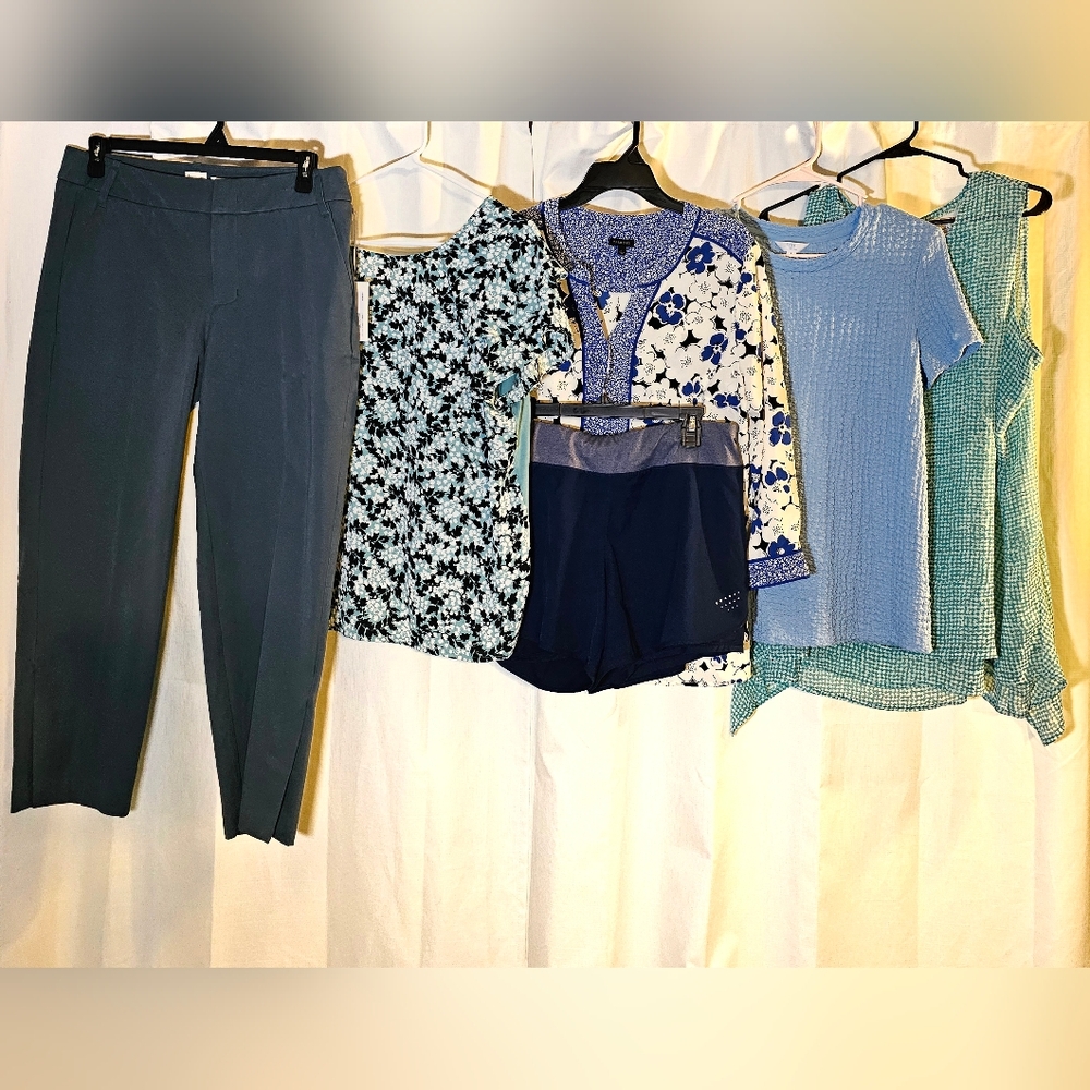 Mystery Box L Ann Taylor